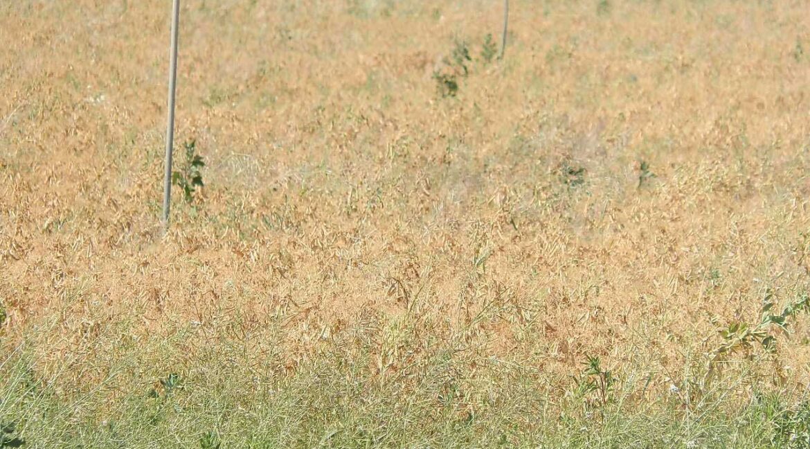 691_fincas-en-venta-48