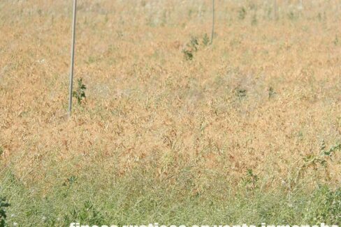 691_fincas-en-venta-48