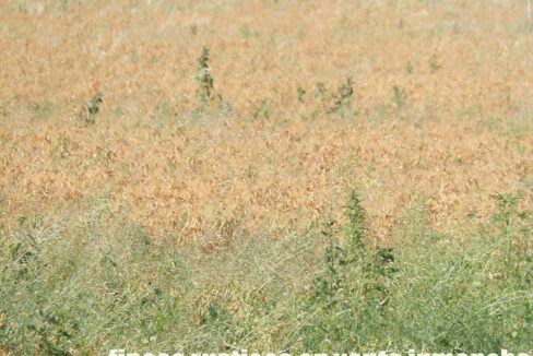 691_fincas-en-venta-49