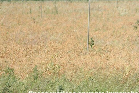 691_fincas-en-venta-50