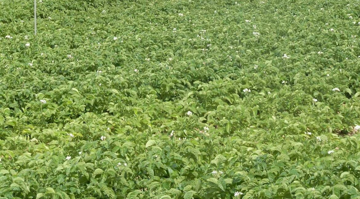 691_fincas-en-venta-51