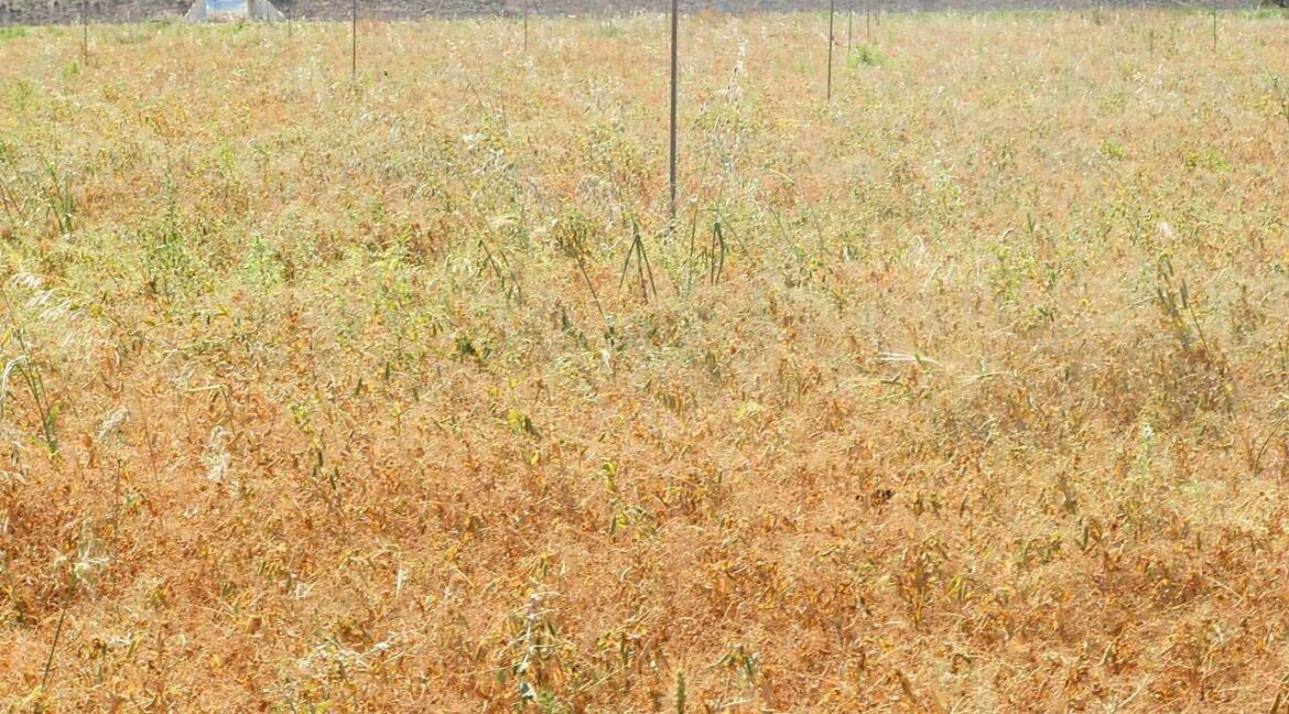 691_fincas-en-venta-53