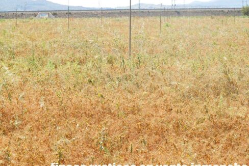 691_fincas-en-venta-53