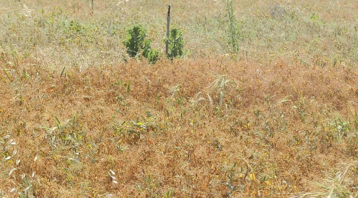 691_fincas-en-venta-54