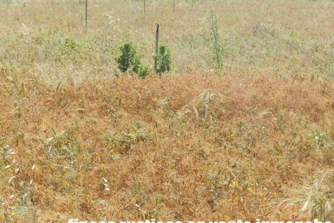 691_fincas-en-venta-54