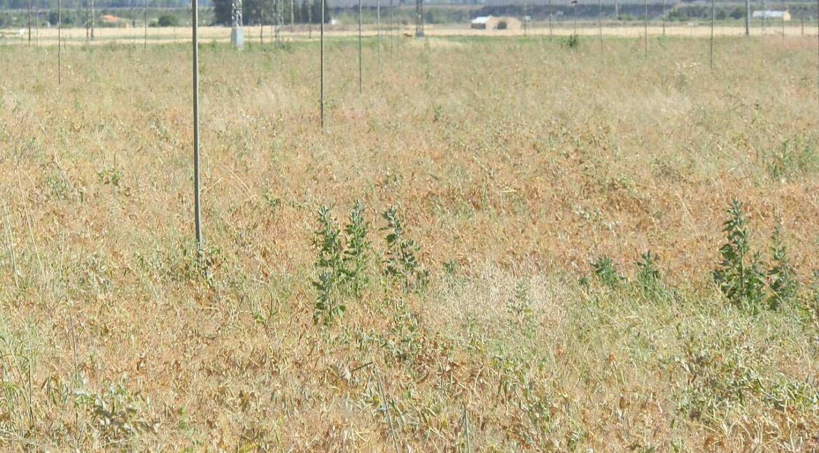 691_fincas-en-venta-55