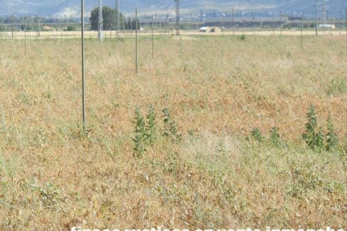 691_fincas-en-venta-55