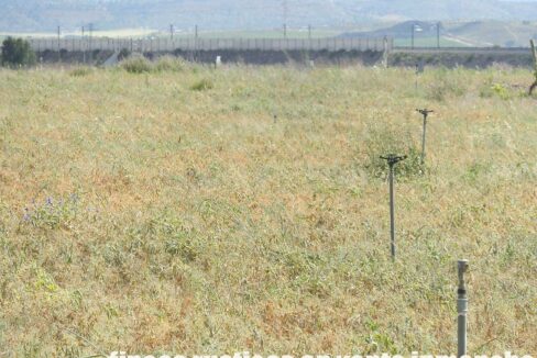 691_fincas-en-venta-56