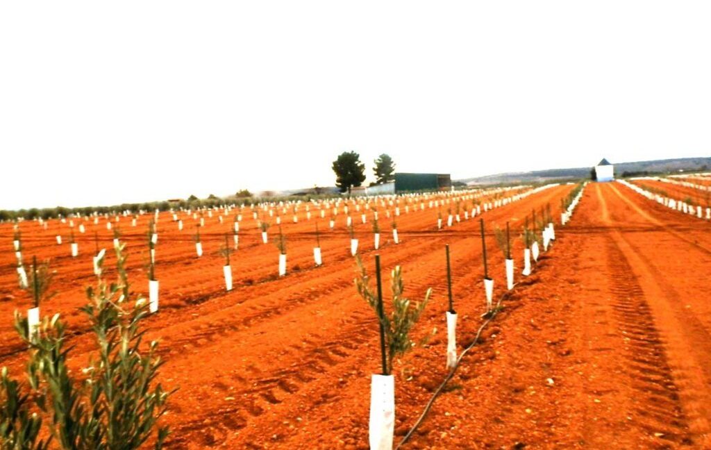 692_fincas-en-venta-0013