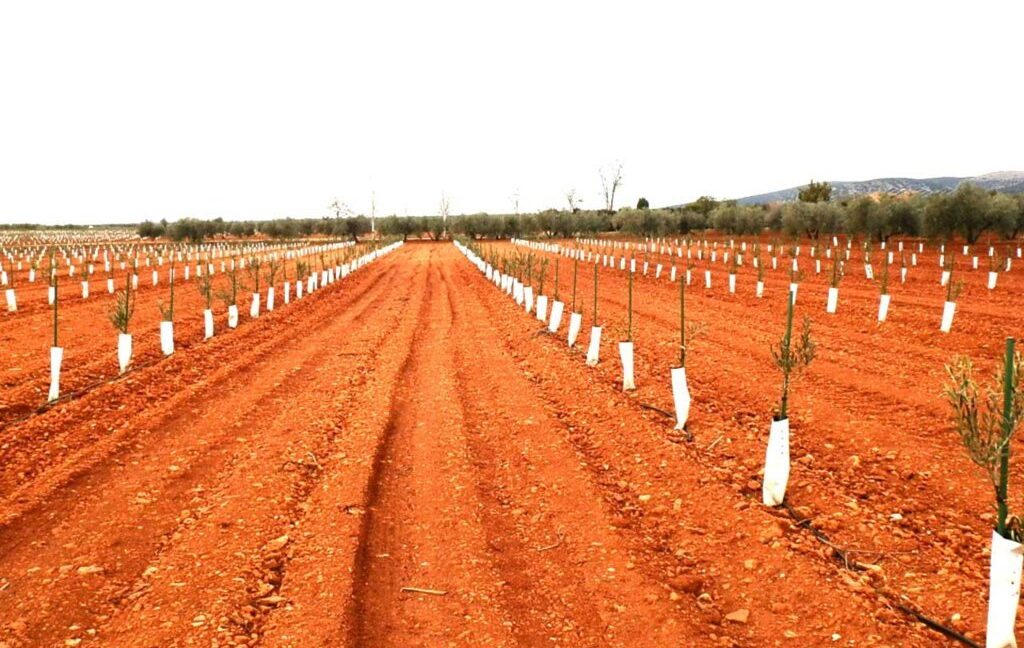 692_fincas-en-venta-0018