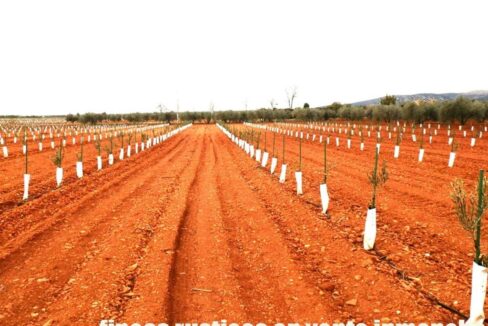 692_fincas-en-venta-0018