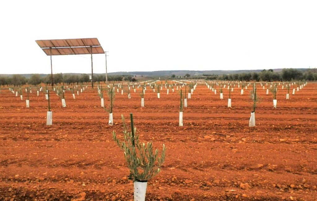 692_fincas-en-venta-0019