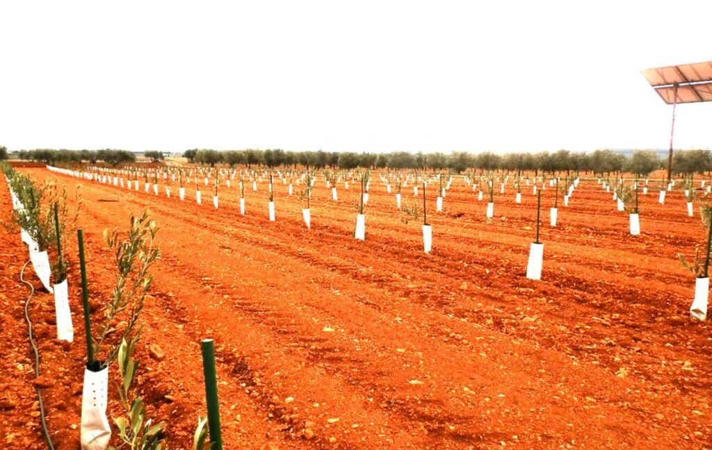 692_fincas-en-venta-0022