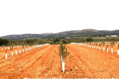 692_fincas-en-venta-0030