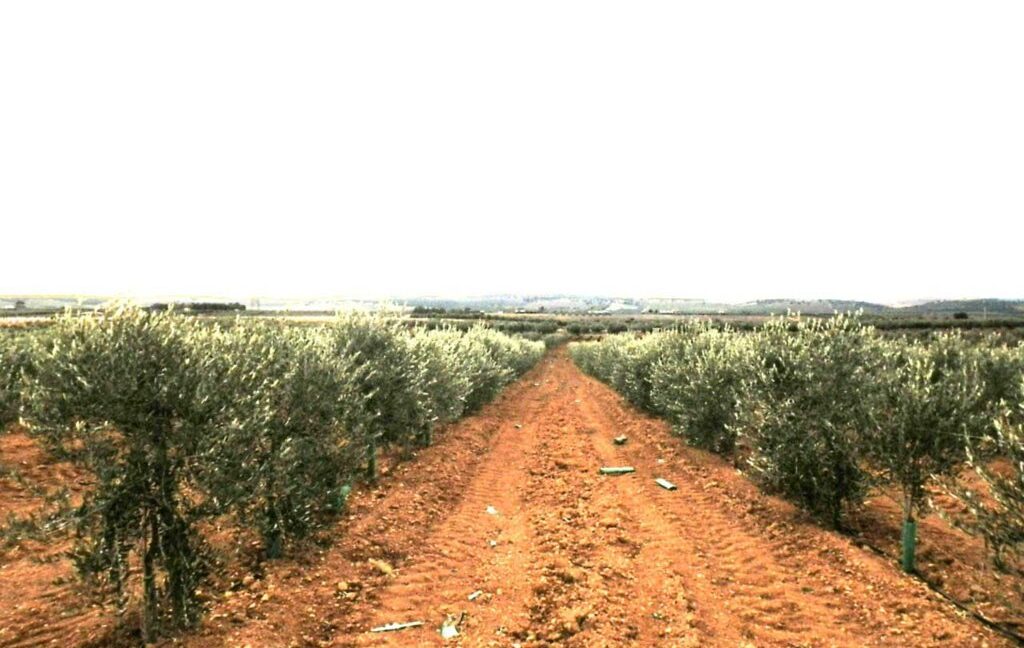 692_fincas-en-venta-0038