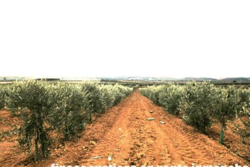 692_fincas-en-venta-0038