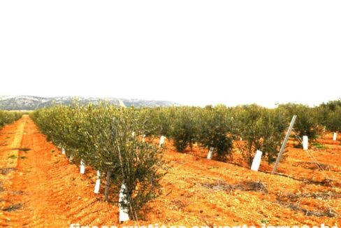 692_fincas-en-venta-0041