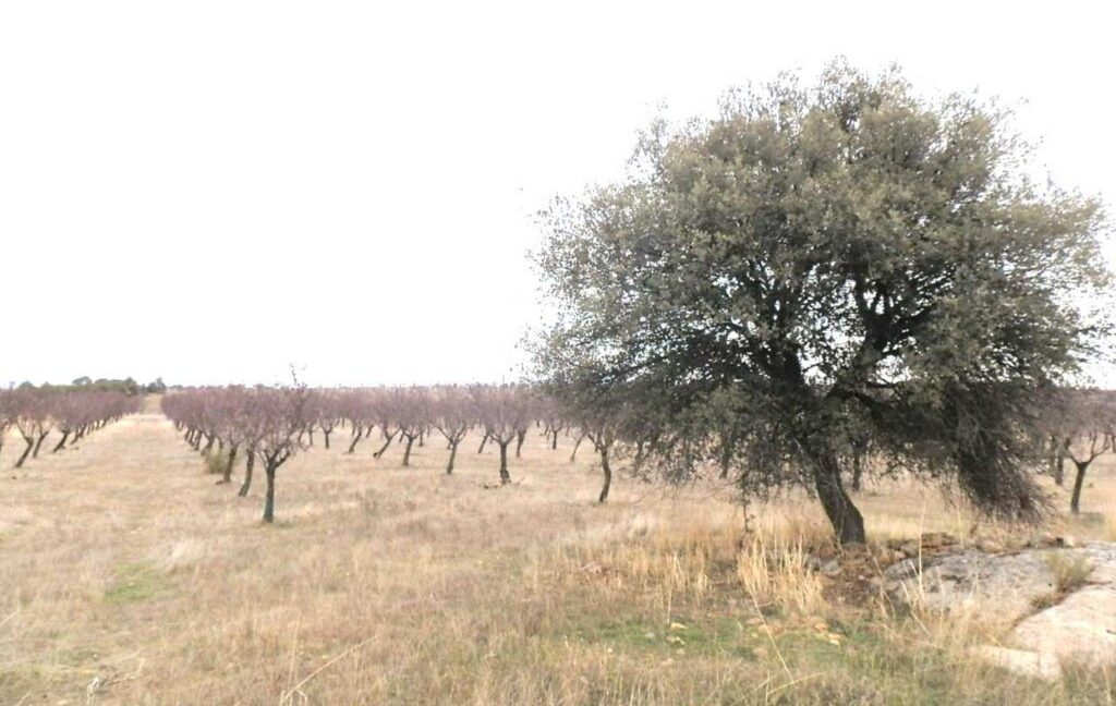 693_fincas-en-venta-002