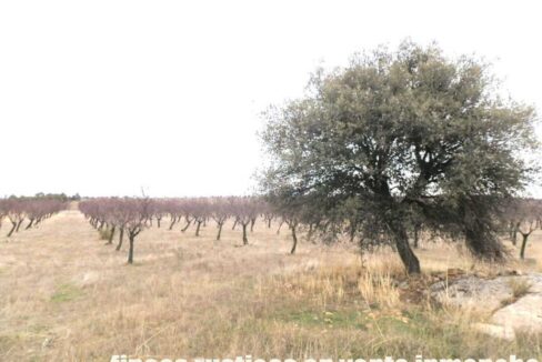 693_fincas-en-venta-002