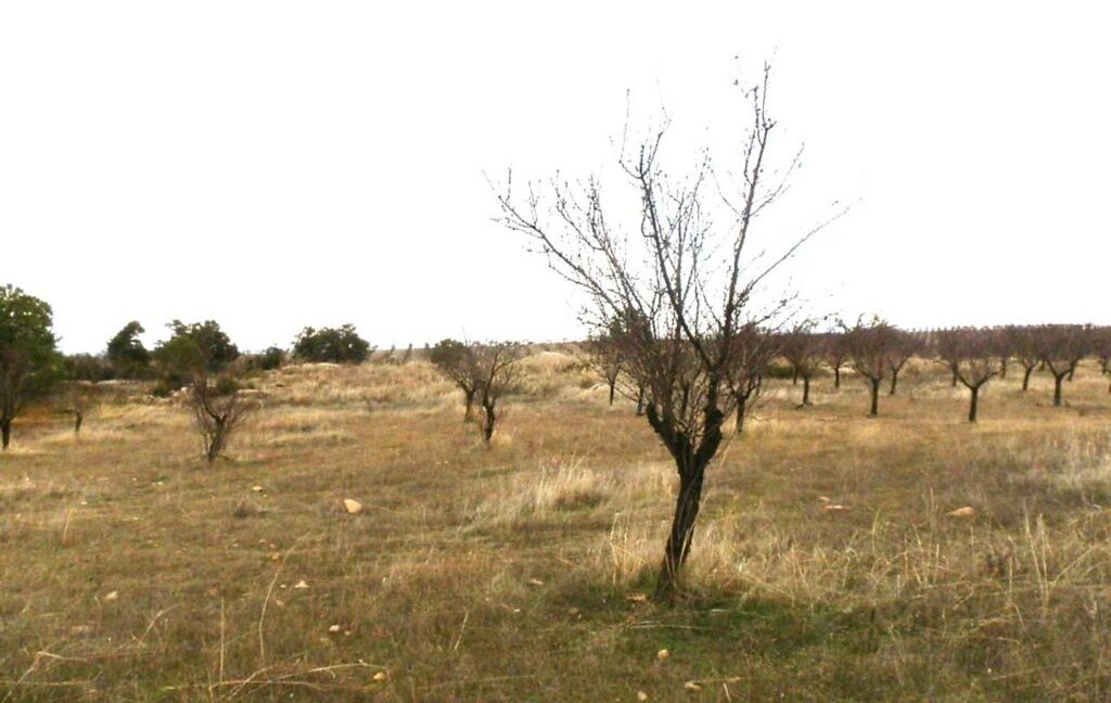 693_fincas-en-venta-005