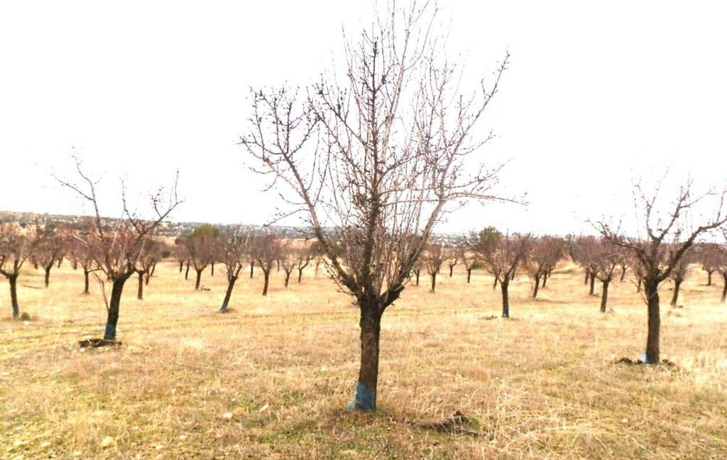 693_fincas-en-venta-007