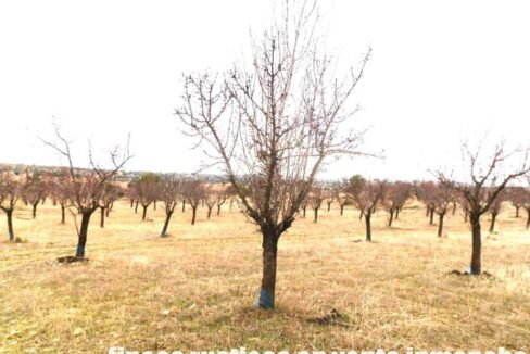 693_fincas-en-venta-007