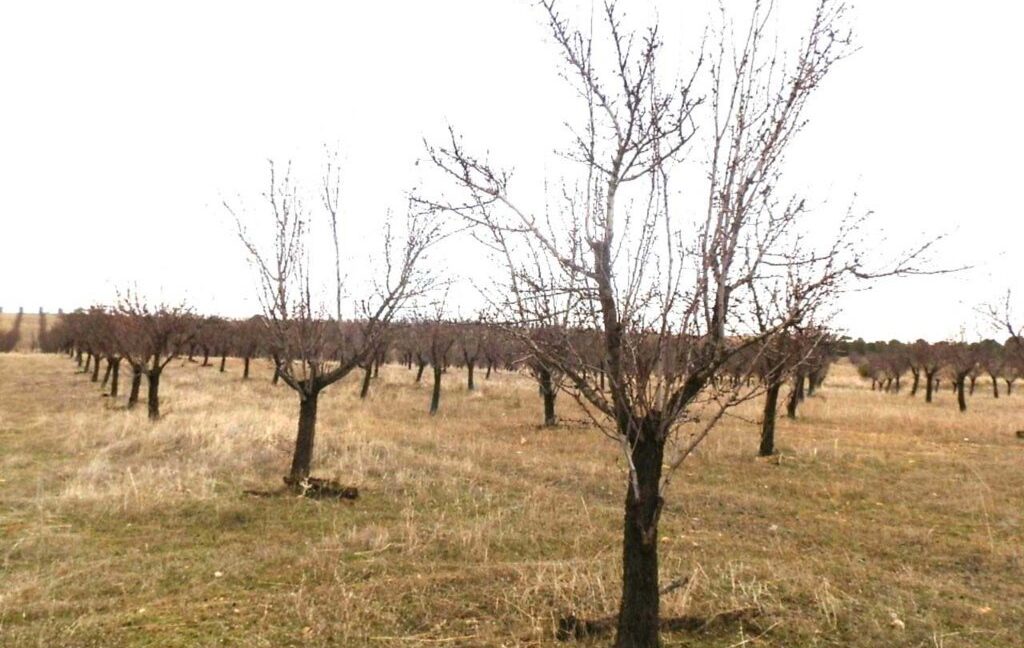 693_fincas-en-venta-008