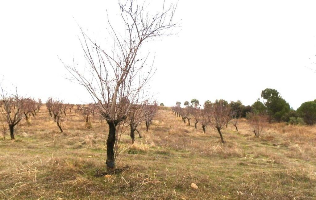 693_fincas-en-venta-009