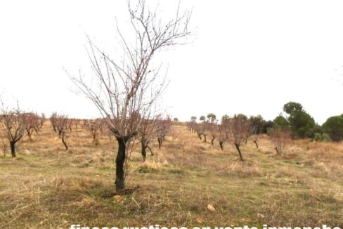 693_fincas-en-venta-009