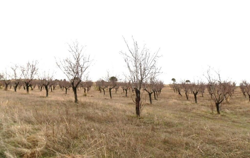 693_fincas-en-venta-010