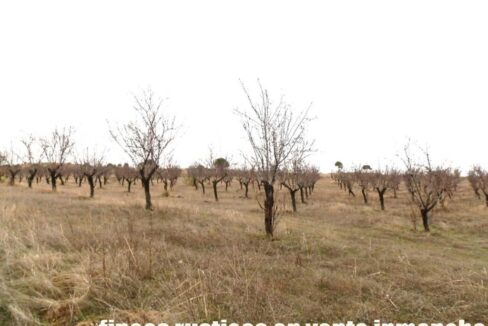 693_fincas-en-venta-010