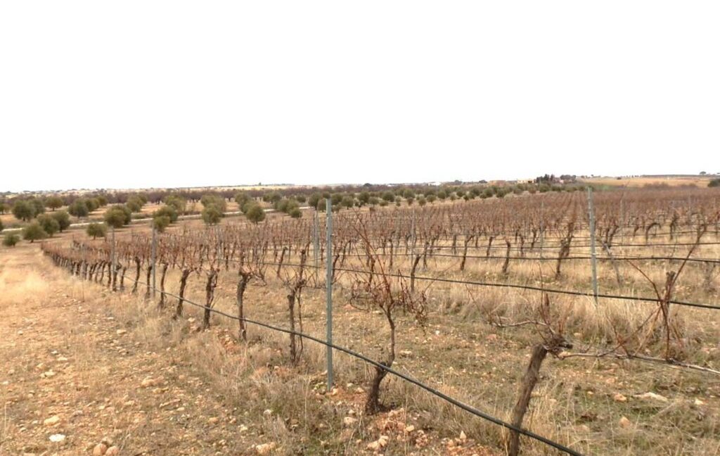 693_fincas-en-venta-012