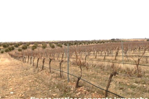 693_fincas-en-venta-012