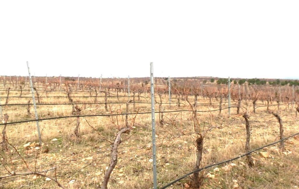 693_fincas-en-venta-013