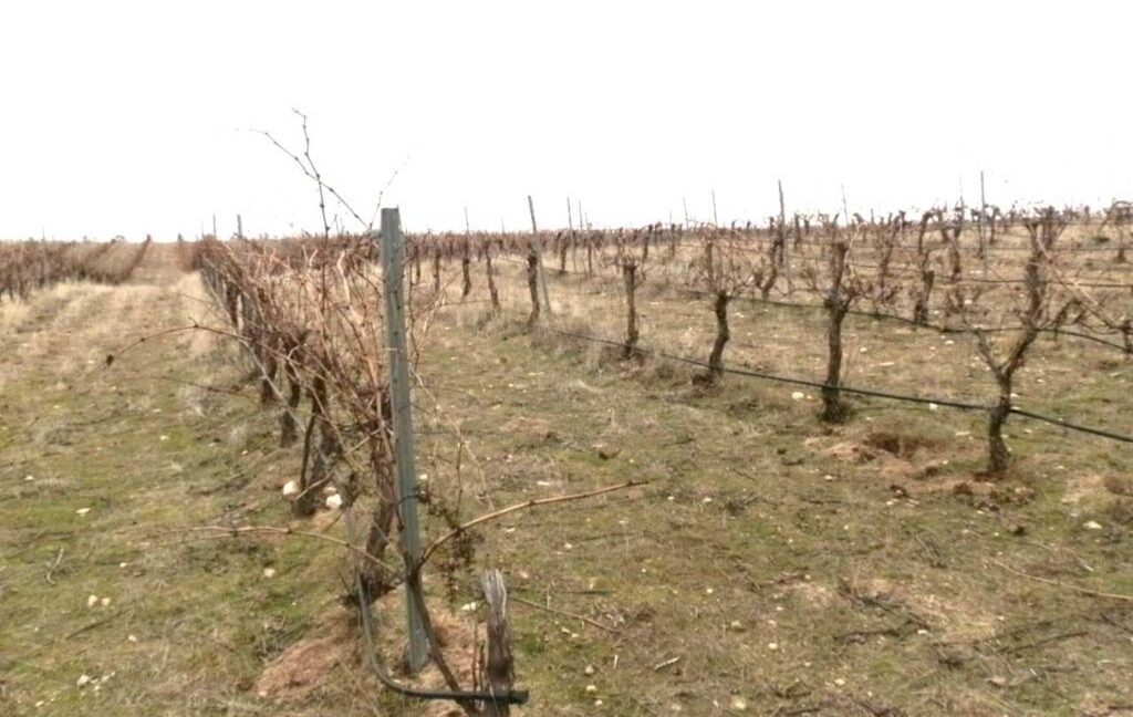 693_fincas-en-venta-014