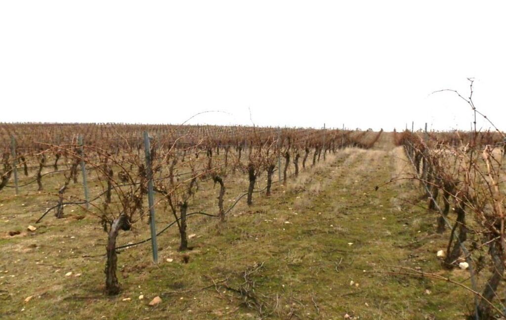 693_fincas-en-venta-015