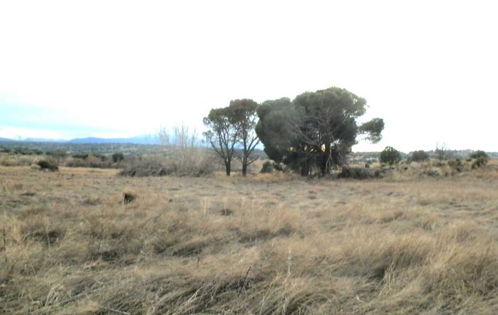 693_fincas-en-venta-026