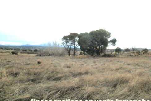 693_fincas-en-venta-026