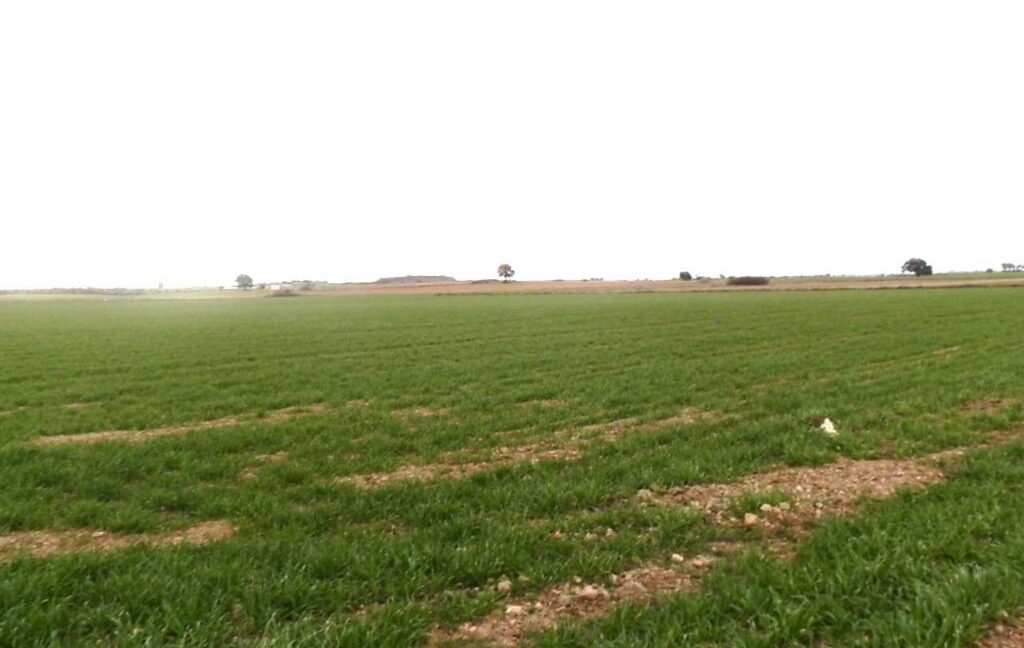 694_fincas-en-venta-033