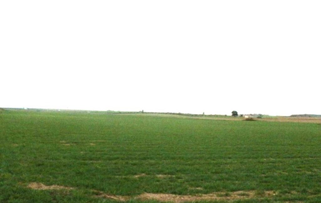 694_fincas-en-venta-034