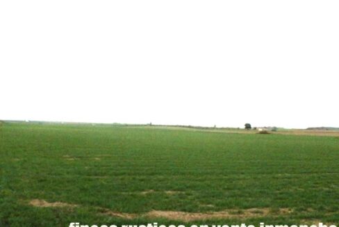 694_fincas-en-venta-034