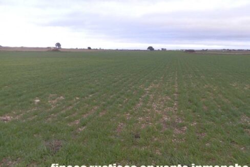 694_fincas-en-venta-036