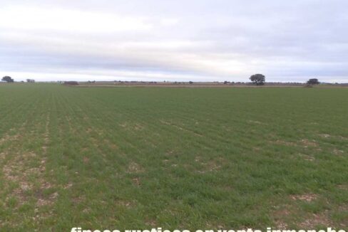 694_fincas-en-venta-037