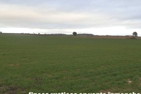 694_fincas-en-venta-038