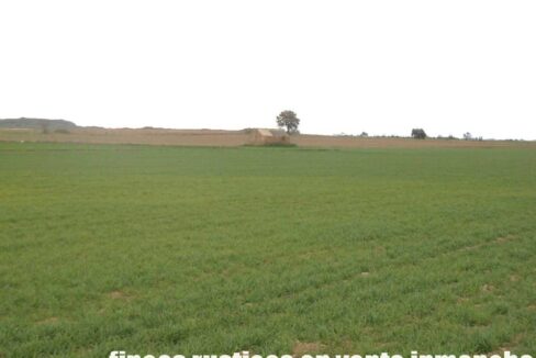 694_fincas-en-venta-039