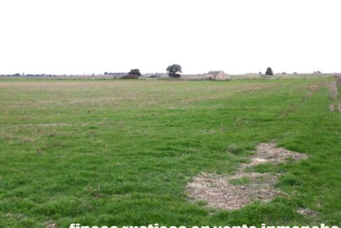 694_fincas-en-venta-040