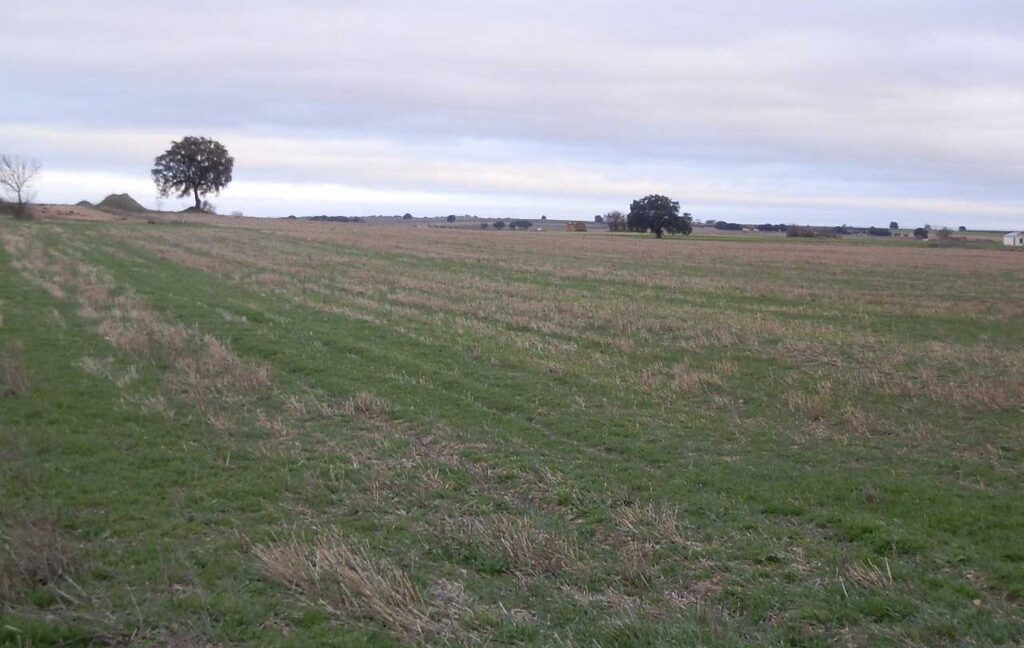 694_fincas-en-venta-042