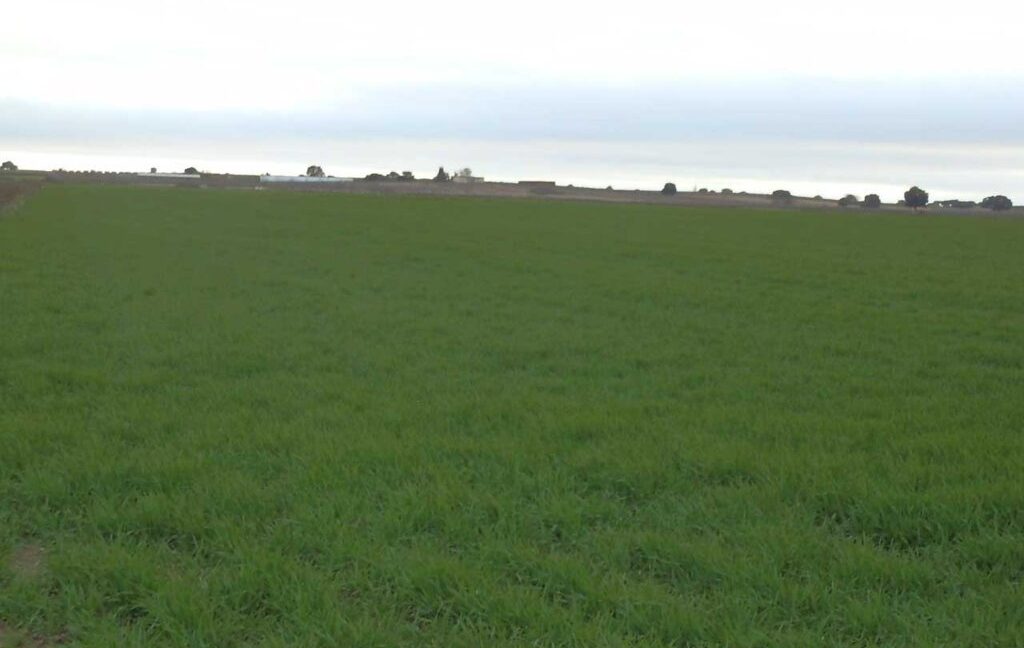 694_fincas-en-venta-043