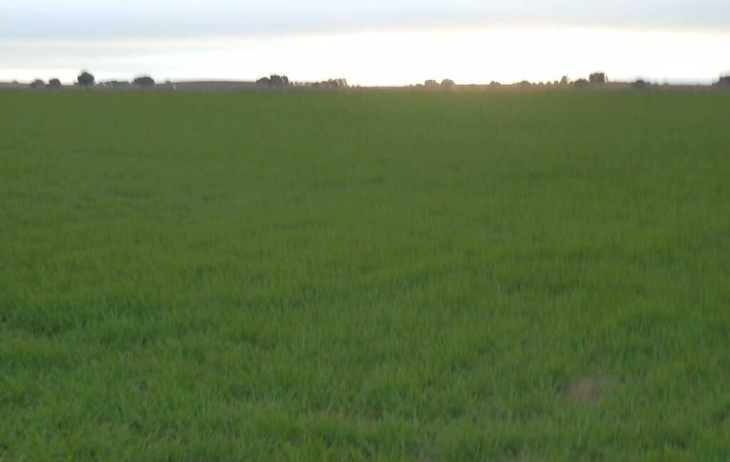 694_fincas-en-venta-044