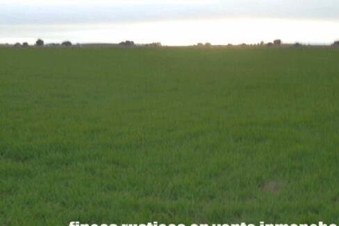 694_fincas-en-venta-044